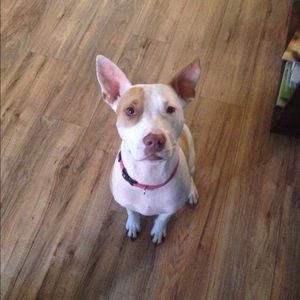 Meet your Posher, Anthonyanthony